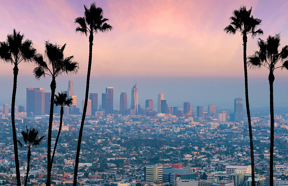 Los Angeles image 2